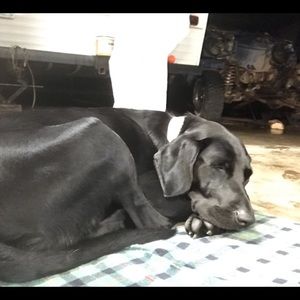 Meet your Posher, Amber